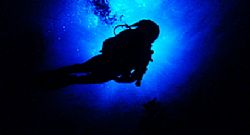 In to the blue yonder. by Gregory Grant 